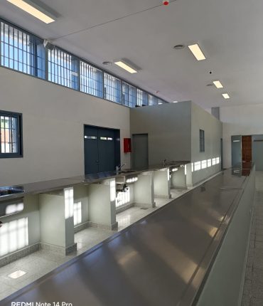 WhatsApp Image 2025-11-17 at 18.10.01